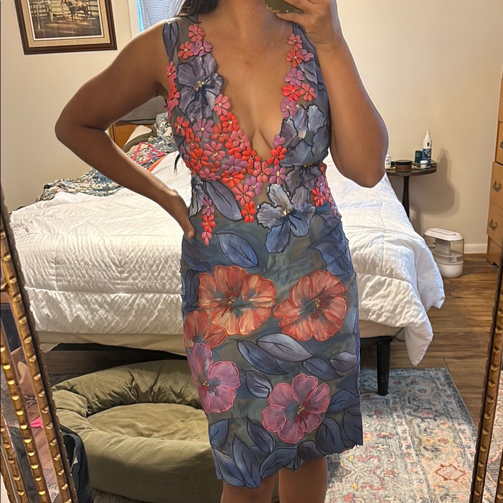 Ema Savahl Floral Painted Dress